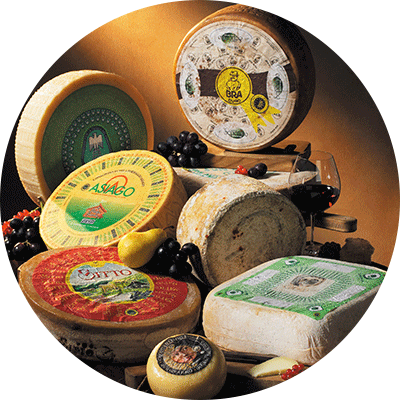 P.D.O cheeses of Italy