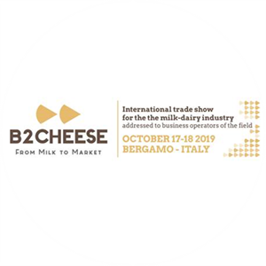 B2CHEESE 2019