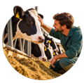 Il benessere animale al centro